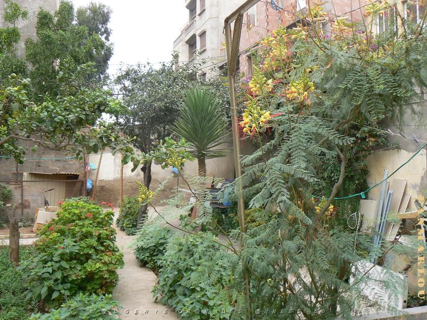 6 rue gl. Ferradou le jardin- Gambetta .jpg